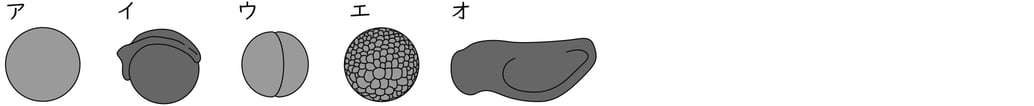 G9_science_1-2_Practice1_picture2_Type1.jpg