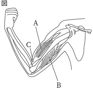 G8_science_1-20_Lesson2_picture1_Type4.jpg
