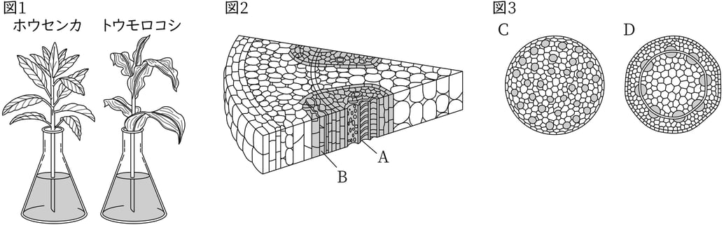 G8_science_1-5_Practice2_picture1_Type1.jpg