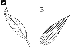 G7_science_1-7_Practice2_picture1_Type4.jpg
