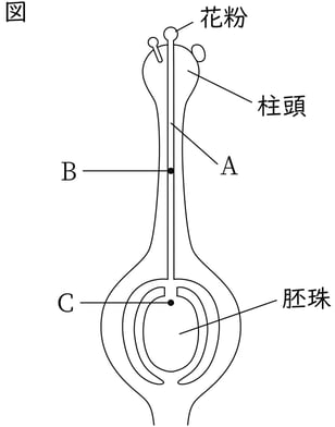 G9_science_1-2_Lesson2_picture1_Type4.jpg