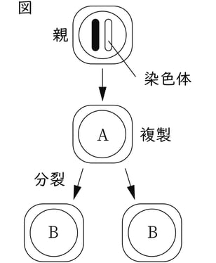 G9_science_1-4_Practice2_picture1_Type4.jpg
