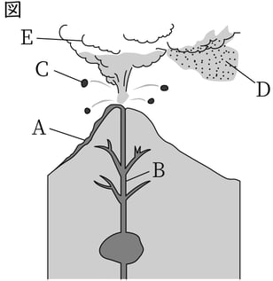 G7_science_4-1_Practice1_picture1_Type4.jpg