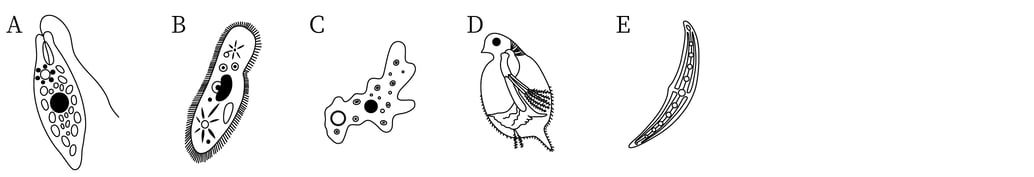 G8_science_1-2_Training2_picture1_Type1.jpg