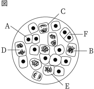 G9_science_1-3_Practice2_picture1_Type4.jpg