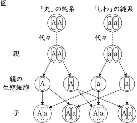 G9_science_1-5_Point1_picture1_Type3.jpg