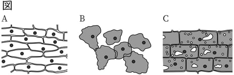 G8_science_1-4_Practice2_picture1_Type3.jpg