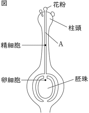 G9_science_1-2_Practice2_picture1_Type4.jpg