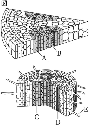 G8_science_1-5_Lesson1_picture1_Type4.jpg