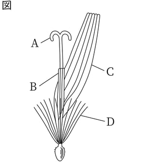 G7_science_1-3_Lesson2_picture1_Type4.jpg
