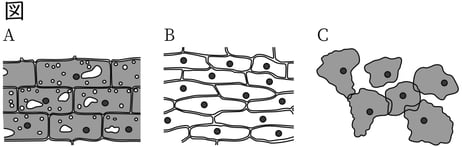 G8_science_1-4_Lesson2_picture1_Type3.jpg