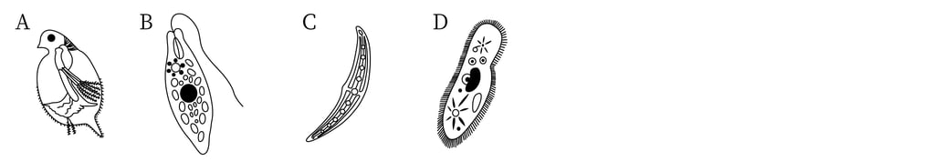 G8_science_1-2_Practice2_picture1_Type1.jpg