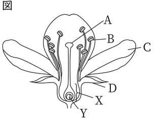 G7_science_1-4_Lesson2_picture1_Type4.jpg