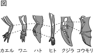 G9_science_1-8_Lesson1_picture1_Type4.jpg