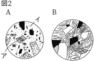 G7_science_4-2_Practice1_picture1_Type4.jpg