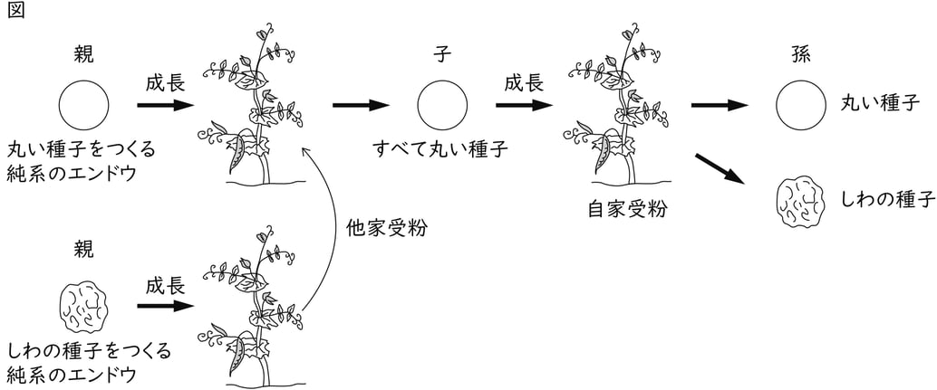 G9_science_1-6_Lesson1_picture1_Type1.jpg