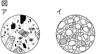 G7_science_4-7_Practice1_picture1_Type4.jpg