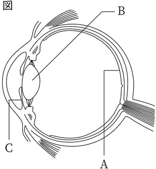 G8_science_1-18_Lesson1_picture1_Type4.jpg