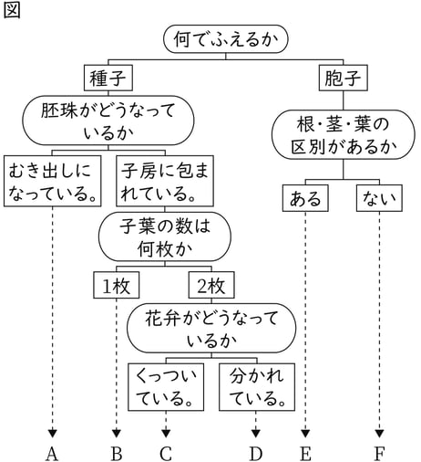 G7_science_1-9_Practice1_picture1_Type3.jpg