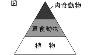 G9_science_6-1_Lesson2_picture1_Type4.jpg