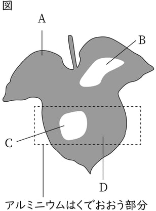 G8_science_1-7_Practice2_picture1_Type4.jpg