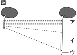 G9_science_1-3_Lesson1_picture1_Type4.jpg