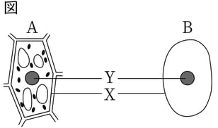 G8_science_1-4_Lesson1_picture1_Type4.jpg